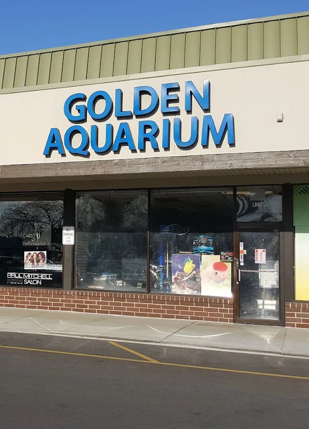 Golden Aquarium Store